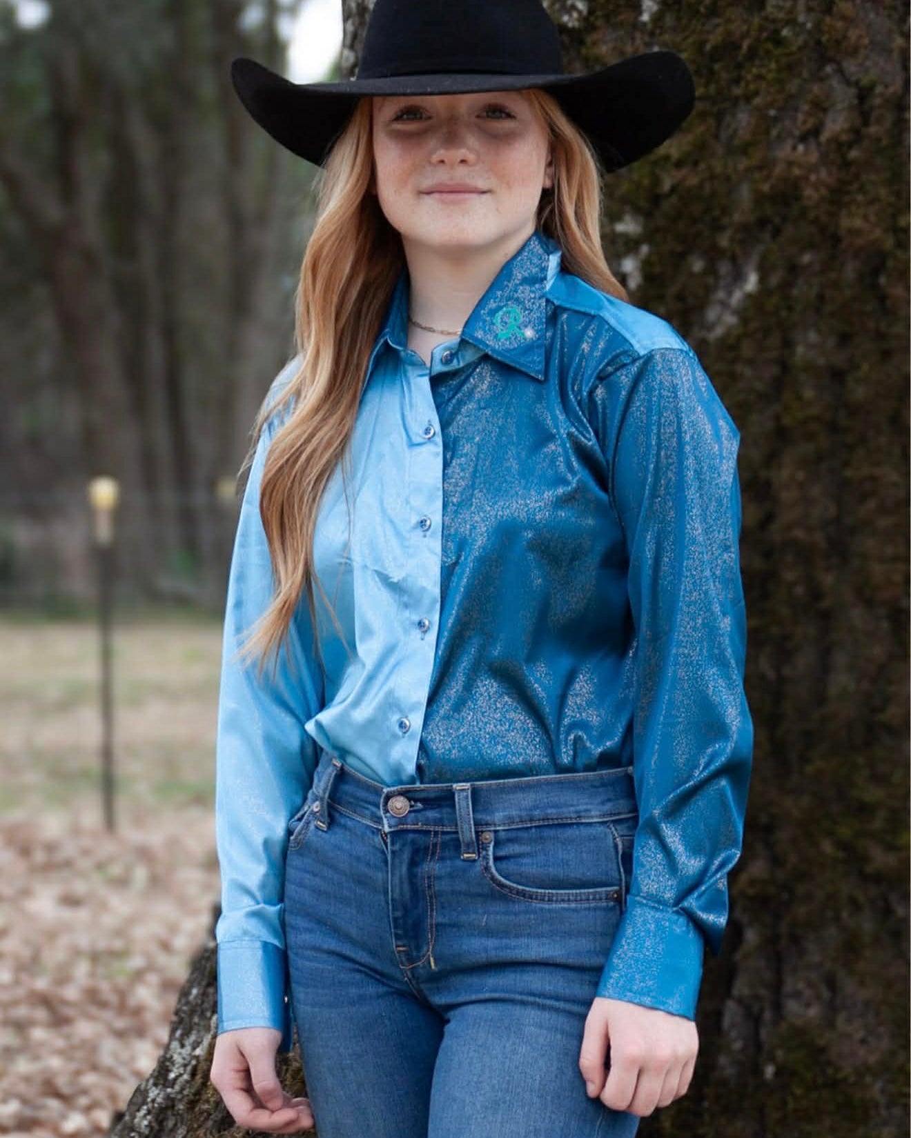 Blue Mesa Show Shirt